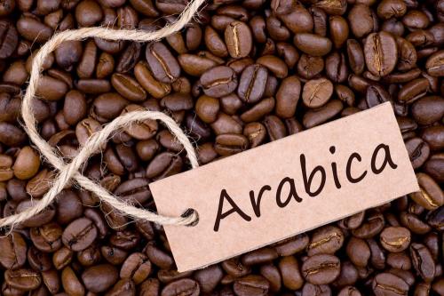 biji kopi arabika