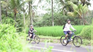 ubud bicycle tour